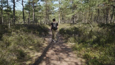 white woman in her thirties wanders along a forest path in stilo, poland, her back turned to the camera, lost in the tranquil beauty of nature