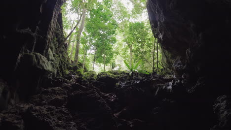 rising pedestal shot from inside cave, revealing tropical forest outside