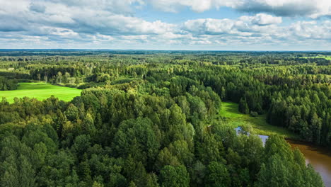 scenic landscape over forest trees in latvia from an aerial hyperlapse drone