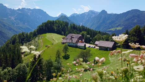 Mountain-landscape,-the-Alps-in-Slovenia-with-farm-and-blooming-meadows,-Solcava-panoramic-road