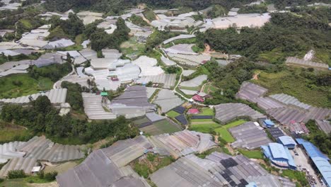 general landscape view of the brinchang district within the cameron highlands area of malaysia