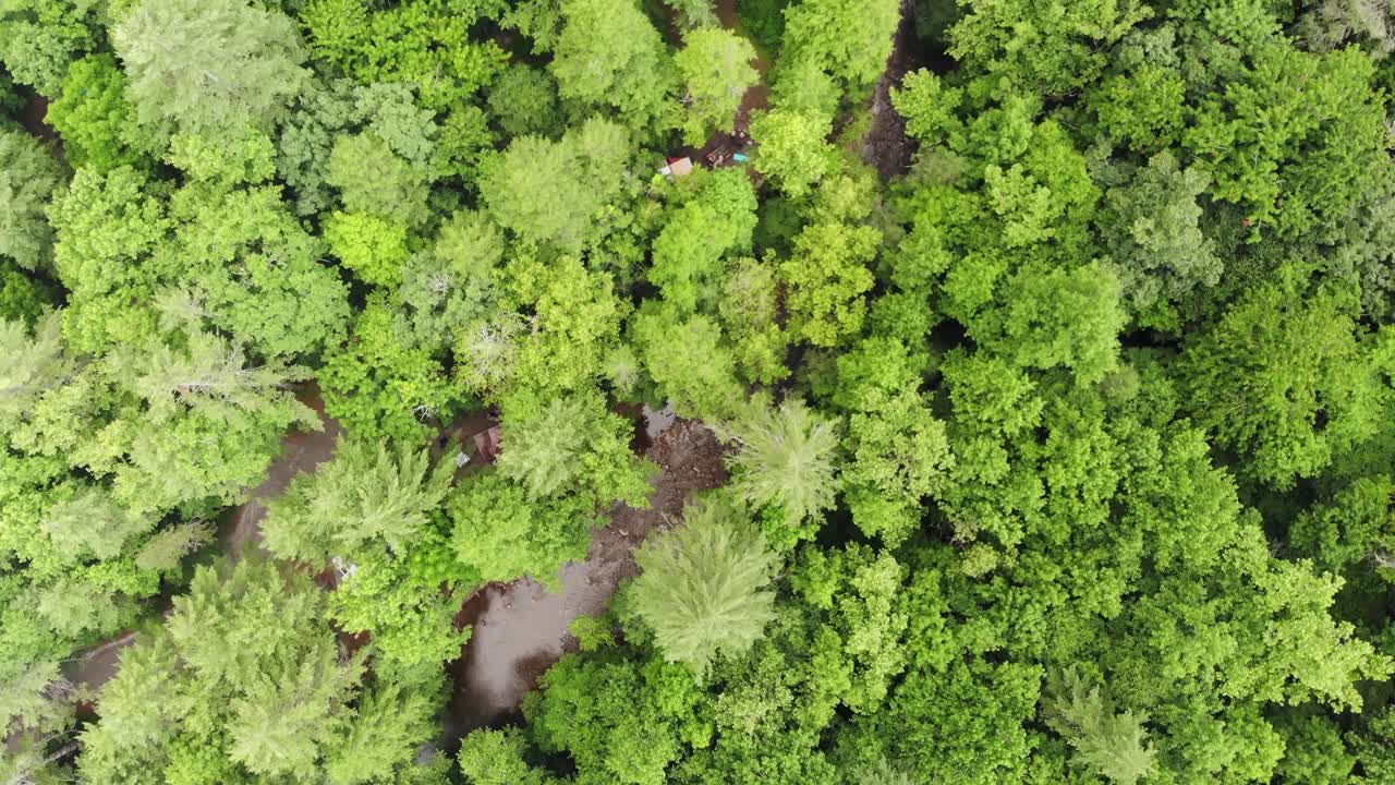 chattahoochee bosque nacional campamento río drone aérea de arriba hacia abajo