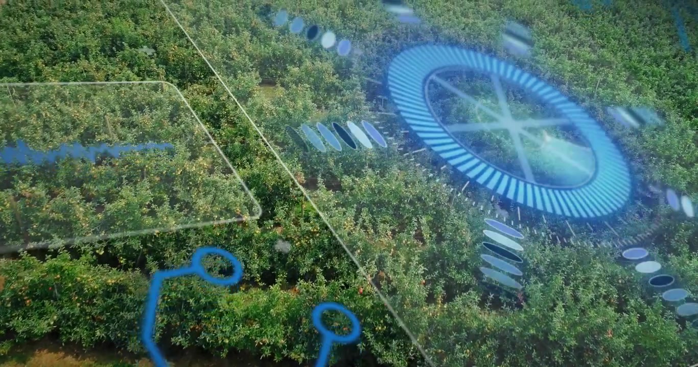 Vertical video: Fading overlay starting blue scan over orchard, loop markers highlighting crops