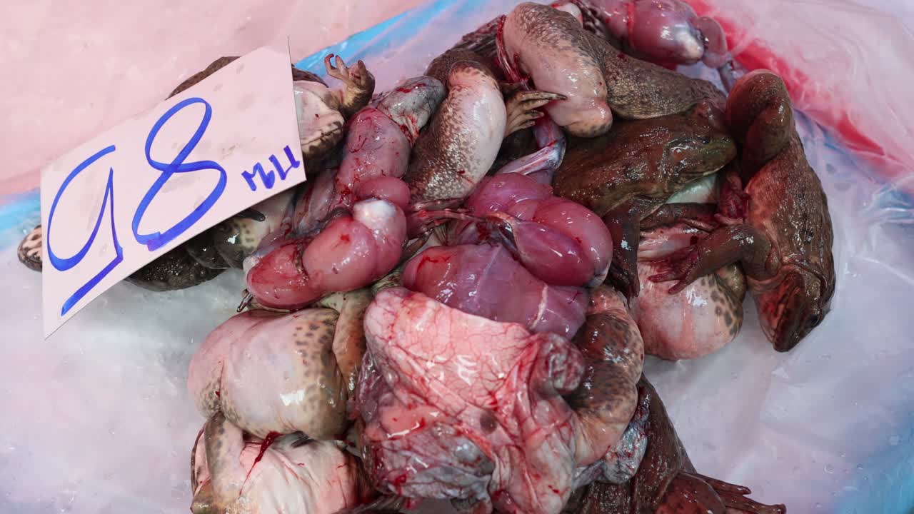 얼음에 신선한 해산물을 정리하고 향신료를 넣는 것