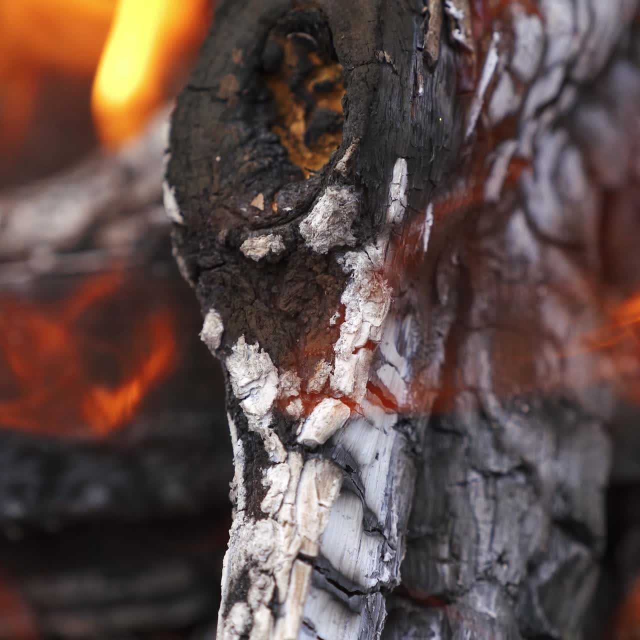 Embers in orange flame. Smoldering logs burning up in fire. Black smoldering wood with ash. Close-up.