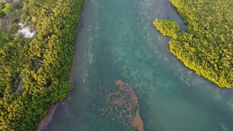 Luftaufnahme-Der-Natürlichen-Schönheit-In-Der-Nähe-Der-Punta-Nizuc-Brücke-In-Cancun,-Mexiko,-Aus-Der-Vogelperspektive.-Das-Lebendige-Grün-Kontrastiert-Mit-Dem-Azurblauen-Wasser-Des-Karibischen-Meeres,-Das-Die-Umgebung-Umhüllt