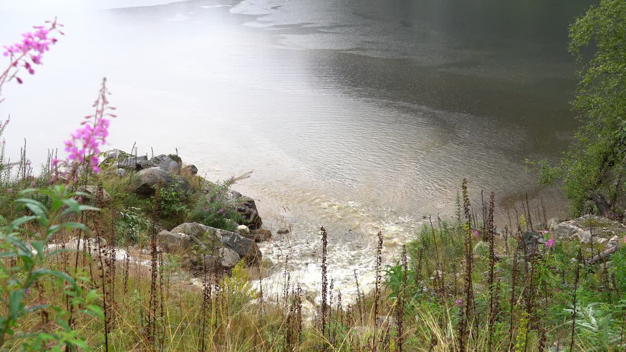 River colouring the sea brown during heavy rain and flooding - Static clip with vegetation in foreground and sea in background