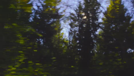 driving slowly on a bumpy mountain road on a beautiful autumn day. pov shot from the side window of a car, hand-held camera