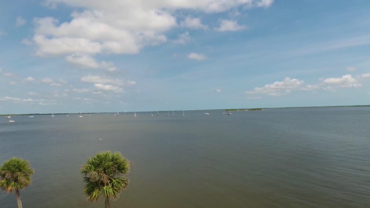 río indio cerca de la ciudad de titusville florida en una hermosa mañana con palmeras y nubes