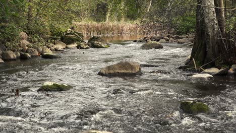 the river is flooded with heavy rain