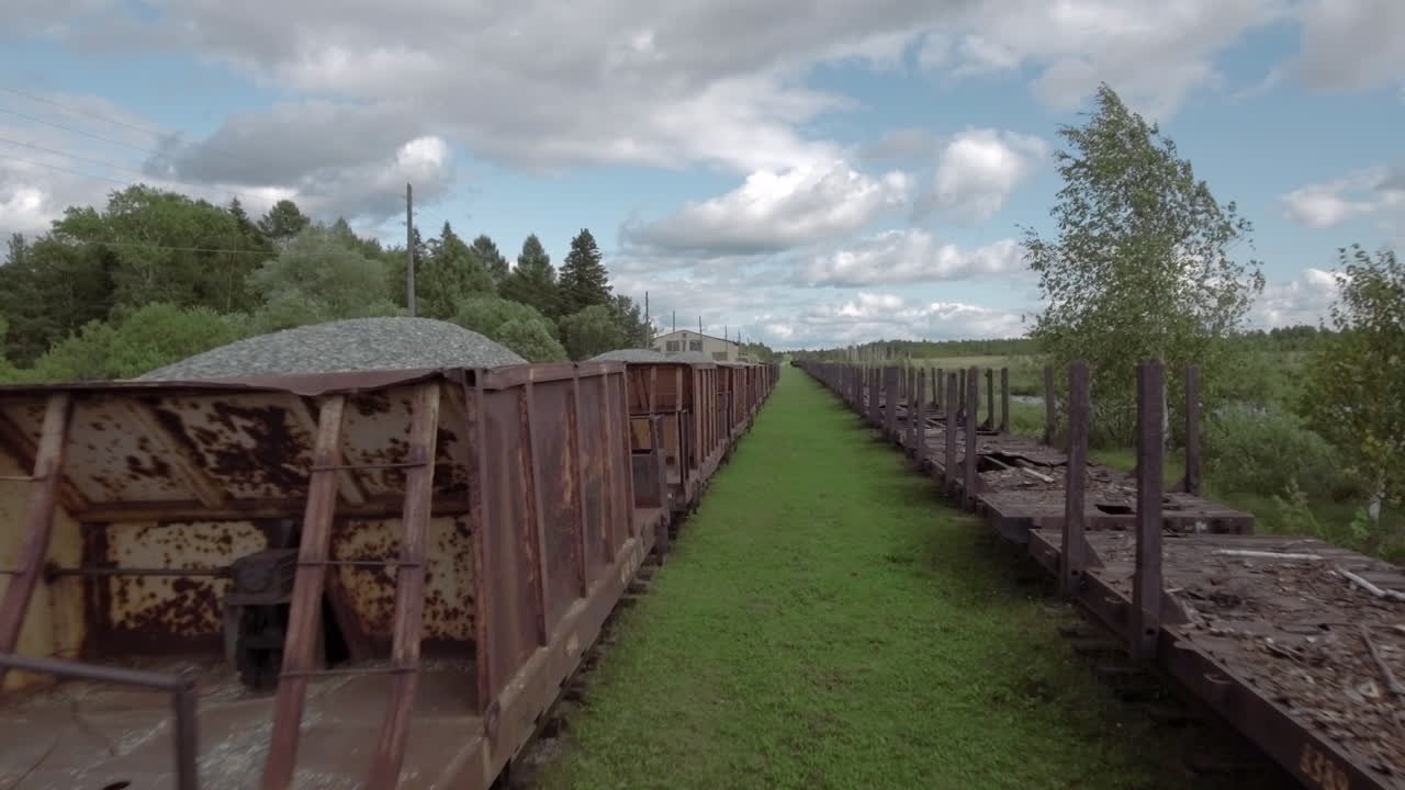 Rusty Abandoned Cargo Train in the Forest