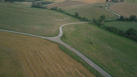 Vista-Aérea-De-Paseos-En-Bicicleta-Por-La-Carretera-En-Zigzag-Sobre-Las-Colinas-Con-Campos-De-Tierras-Agrícolas-En-Toscana-Italia