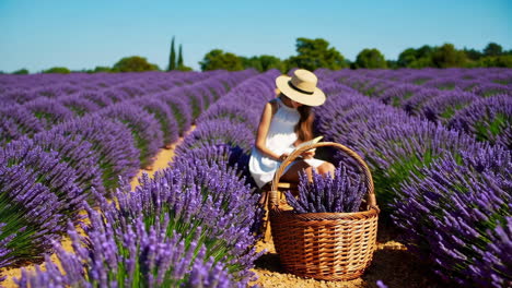 girl reading a book in a lavender field
