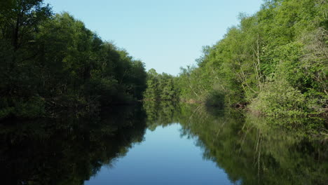 Transparent-Lake-With-Forest-Reflection-In-Ossenzijl,-Friesland,-Netherlands