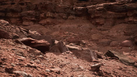 Grand-Canyon-National-Park-red-rocks