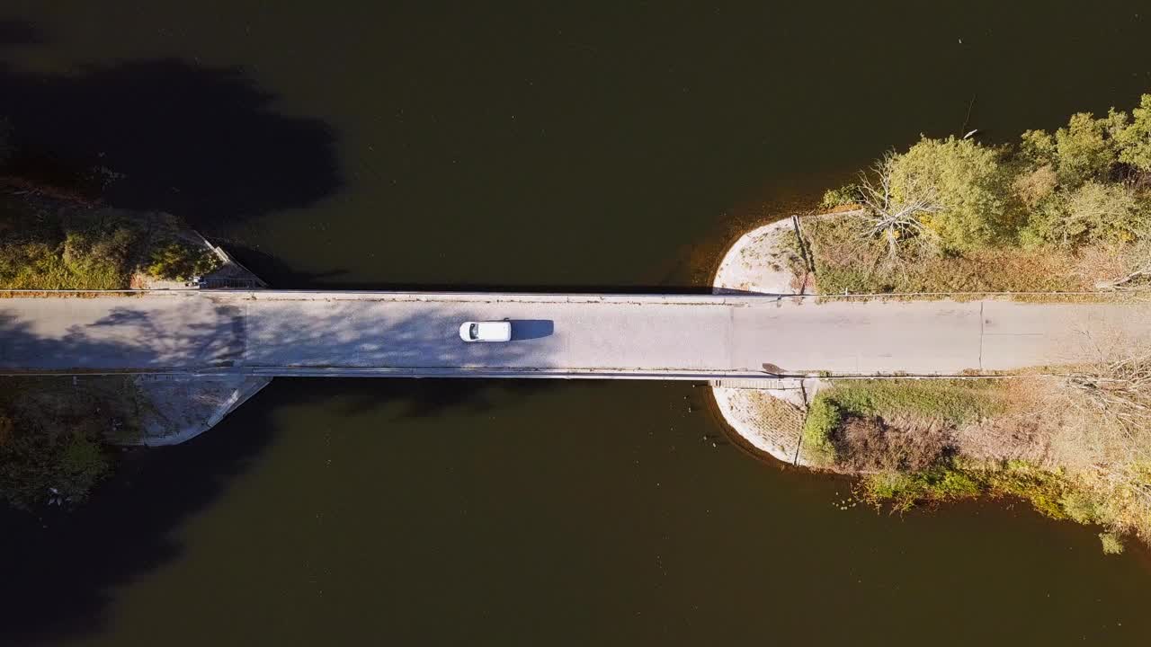 나무로 둘러싸인 작은 호수