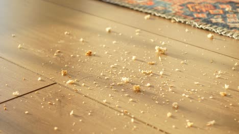 bread crumbs on wooden floor