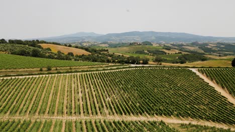 drone panorama seguimiento disparo de un panorama en la toscana