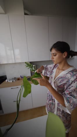 woman caring for houseplant in modern kitchen