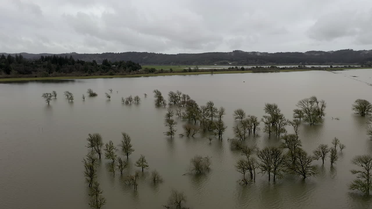 Aerial flying over trees in flooded pasture on cloudy day, Coquille, Oregon