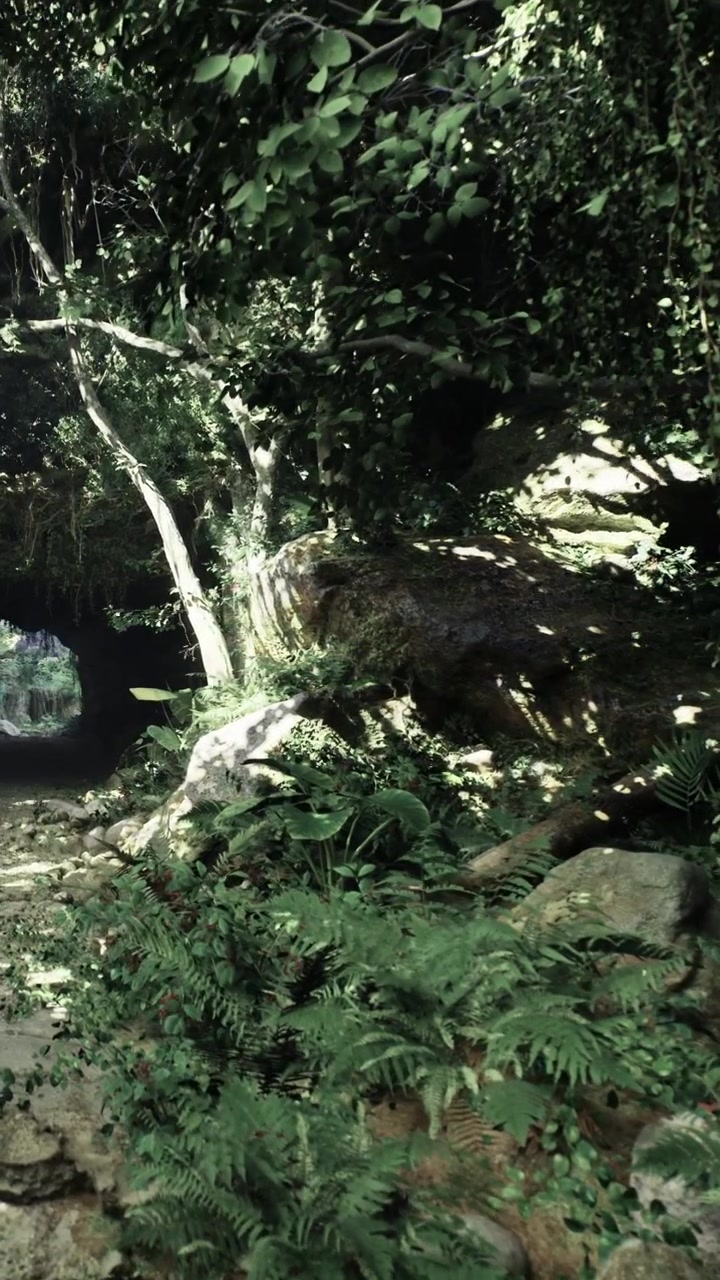 Una vegetazione rigogliosa circonda un sentiero in un bosco di giorno