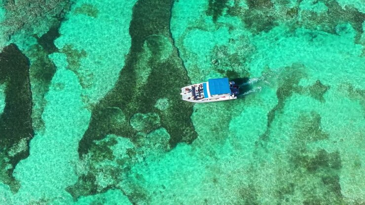 vista aérea de un barco navegando sobre un hermoso arrecife de coral