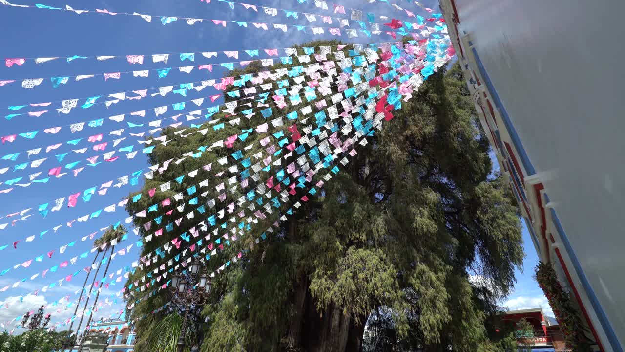 Arbol del Tule Behind Flags Attached to Templo Santa María de la Asunción