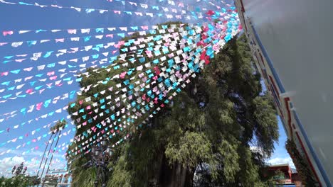 arbol del tule behind flags attached to templo santa maría de la asunción