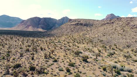 Sunny-day-drone-through-the-desert