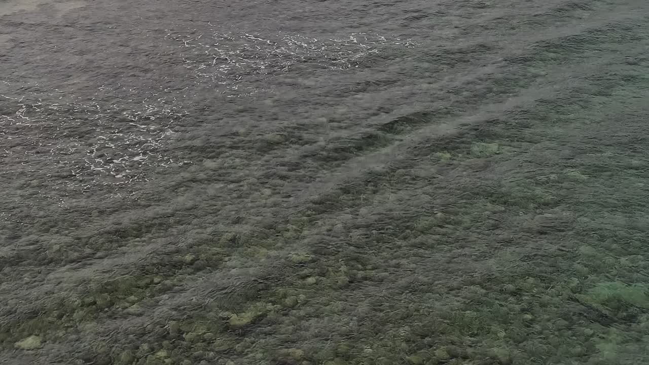 Clear water and waves in the Canary Islands with coral reef below