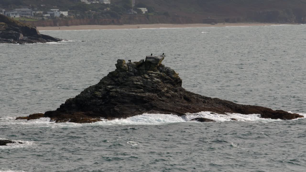 seabirds on exposed rock at low tide at Bessy's Cove, The Enys by HMS Warspite monument
