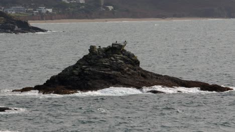 seabirds-on-exposed-rock-at-low-tide-at-Bessy's-Cove,-The-Enys-by-HMS-Warspite-monument