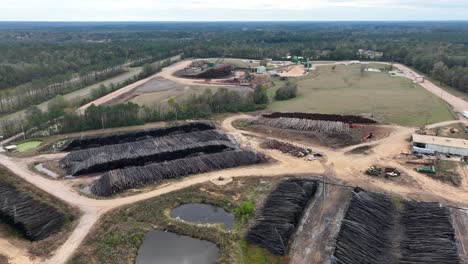 Bosques-E-Industria-Forestal-En-Estados-Unidos