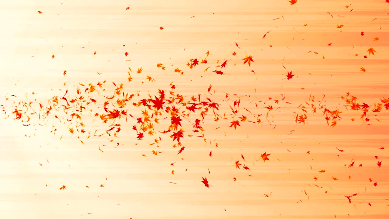 다채로운 메이플과 잎에서 나온 소용돌이, 가을 잎의 나선형 반이는 입자, 춤추는 잎, 다채로운 자연 터널 루프 애니메이션.