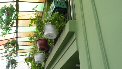 hanging plants on a green building balcony