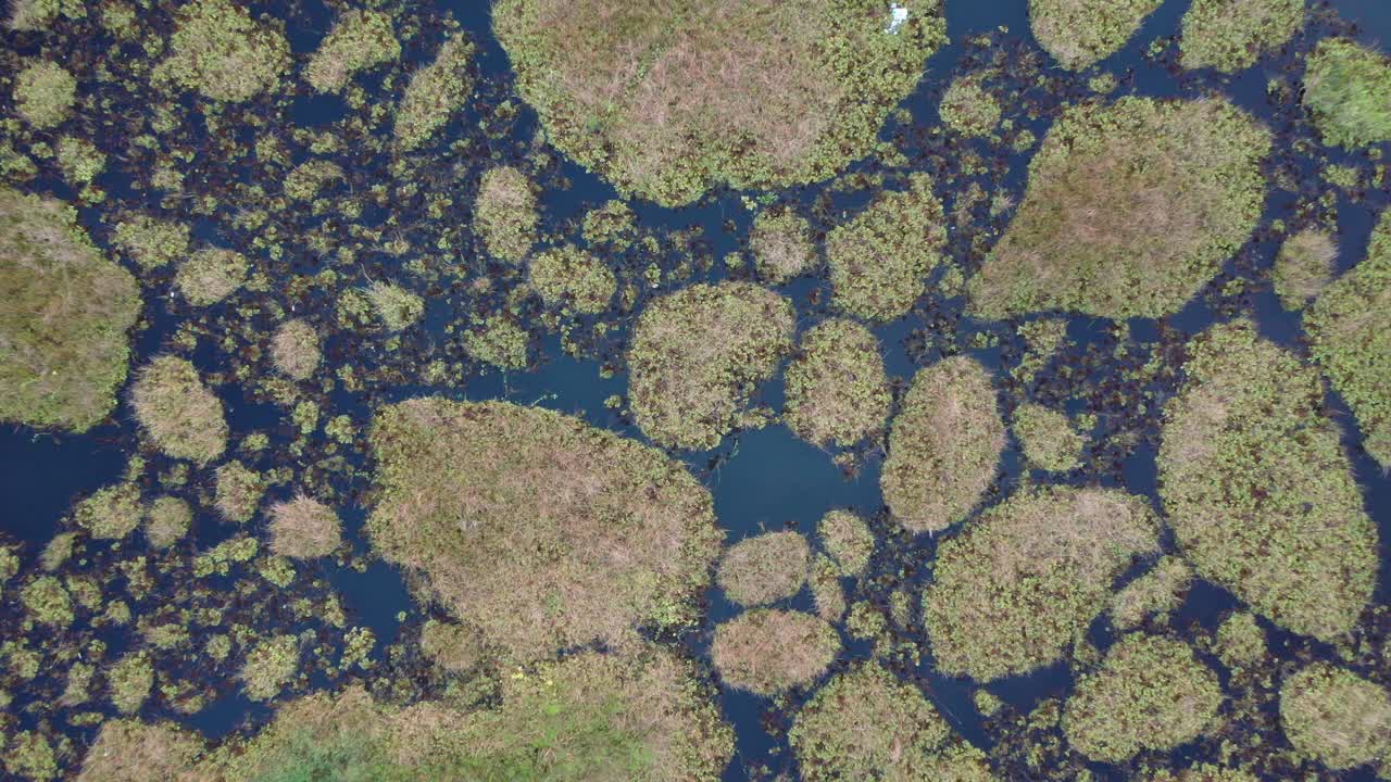 vista aérea de islas flotantes en un pantano
