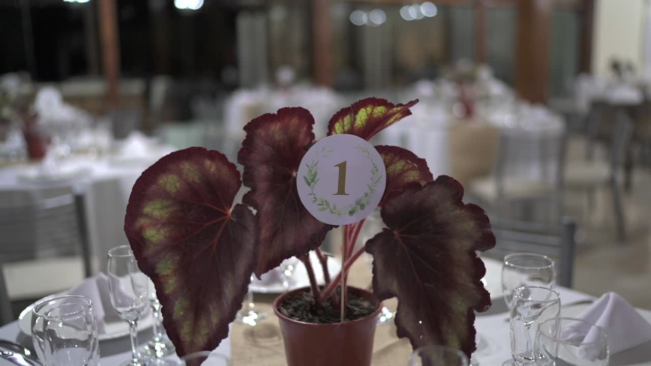 Wedding table with potted Caladium bicolor centerpiece and table number card “1” featuring leaf motif. Elegant setup includes white napkins, glassware, and matching tables in a formal venue setting