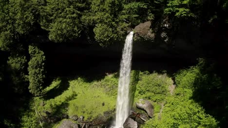 lush green vegetation surrounding north falls in silver falls state park in oregon, usa - aerial shot