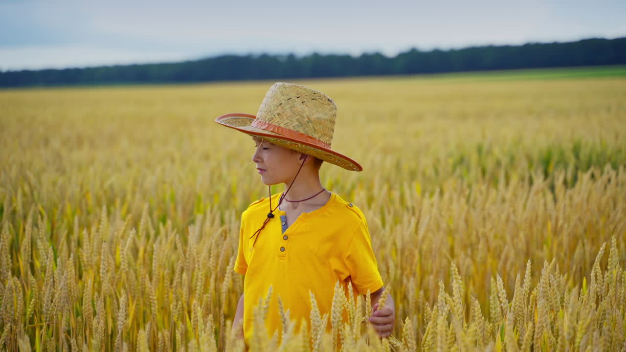 Portrait of little farmer. Boy in straw hat on yellow field. Cute child in yellow t-shirt touches spikelets on agricultural land in summer.