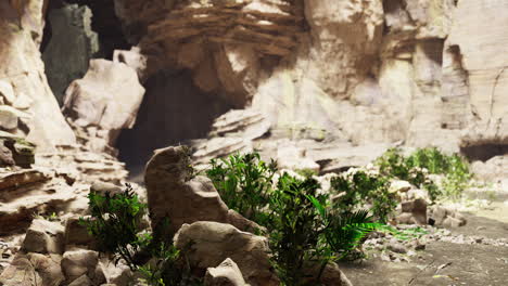 exploring the hidden wonders of a rocky canyon filled with natures beauty