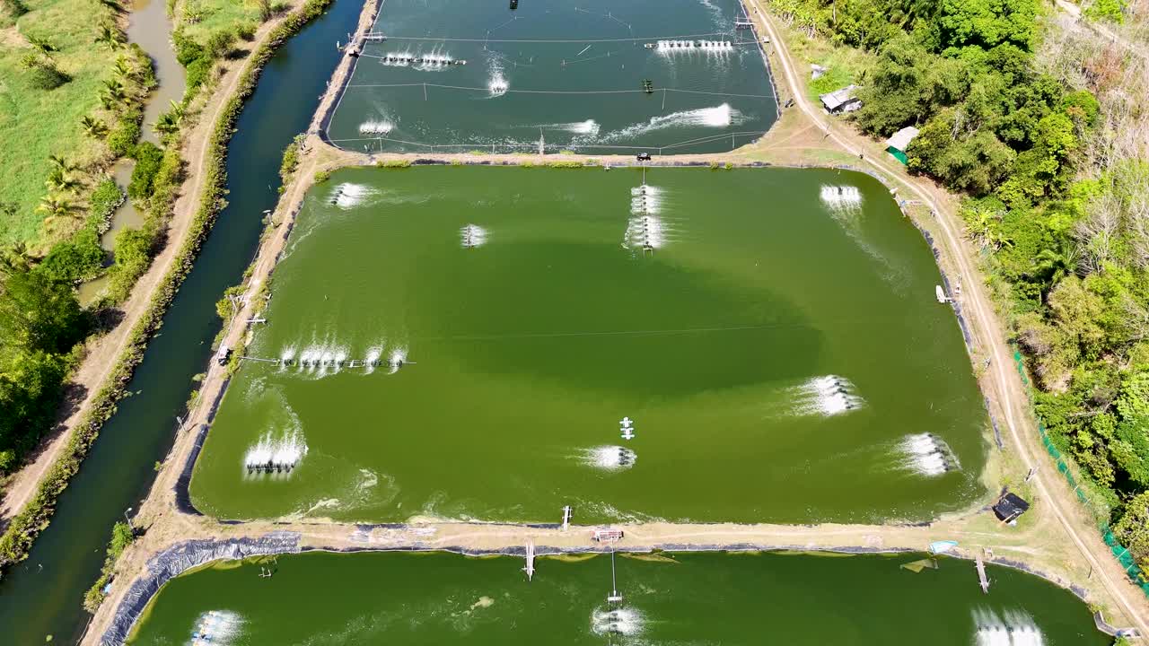드론 영상은 태국 푸켓의 공기화 된 새우 연못을 포착하여 활기찬 초록색과 은 하늘을 가진 수산업 관행을 보여줍니다.