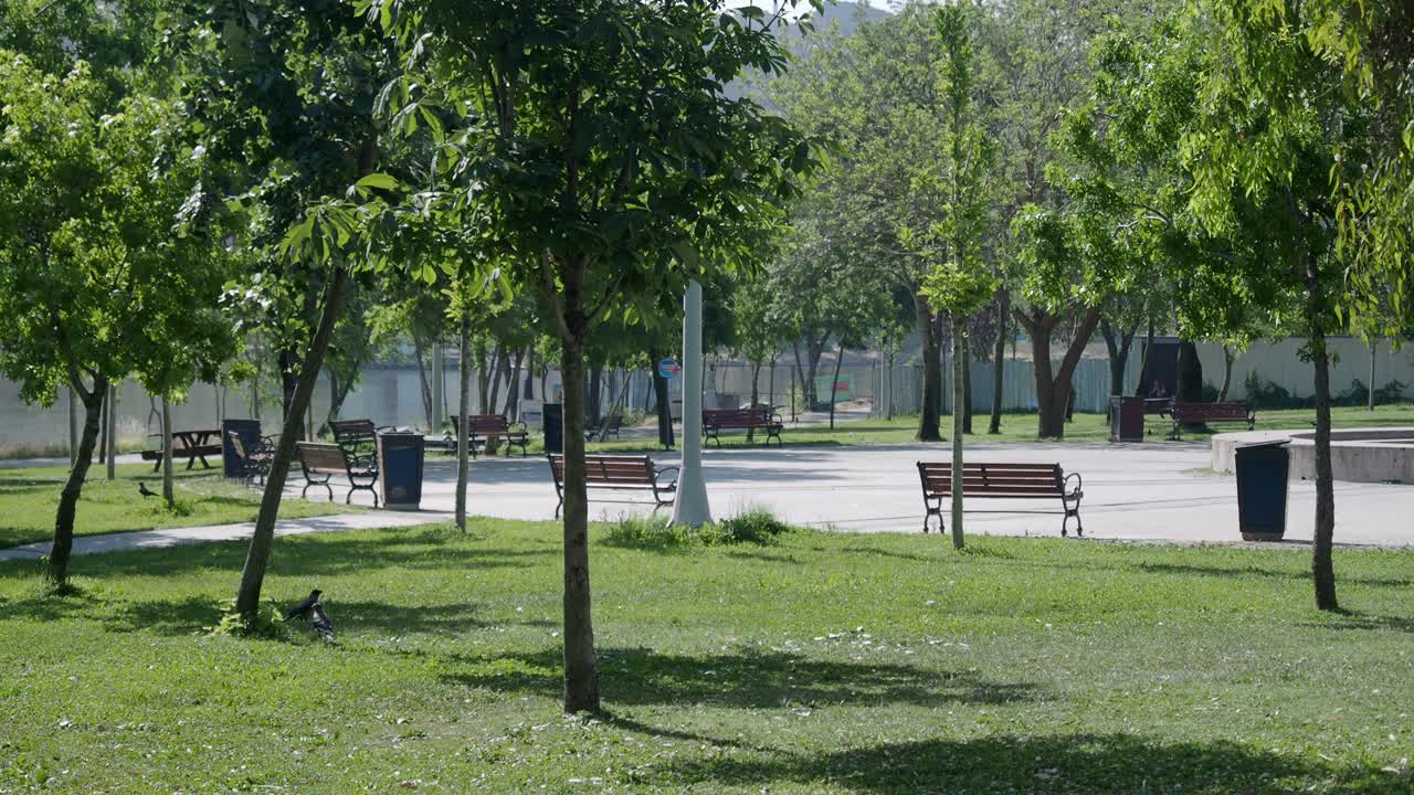 Park with Benches and Trees