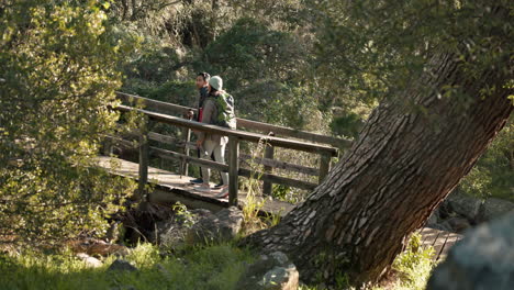 Hiking,-forest-bridge-and-couple-outdoor