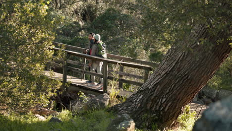 senderismo, puente forestal y pareja al aire libre