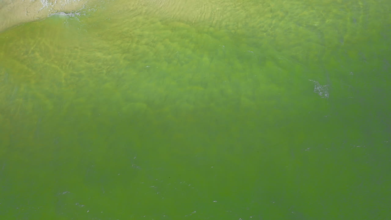 Clear emerald water flows over the sandy seabed as foamy waves trace delicate patterns along the shoreline, shimmering under bright natural light