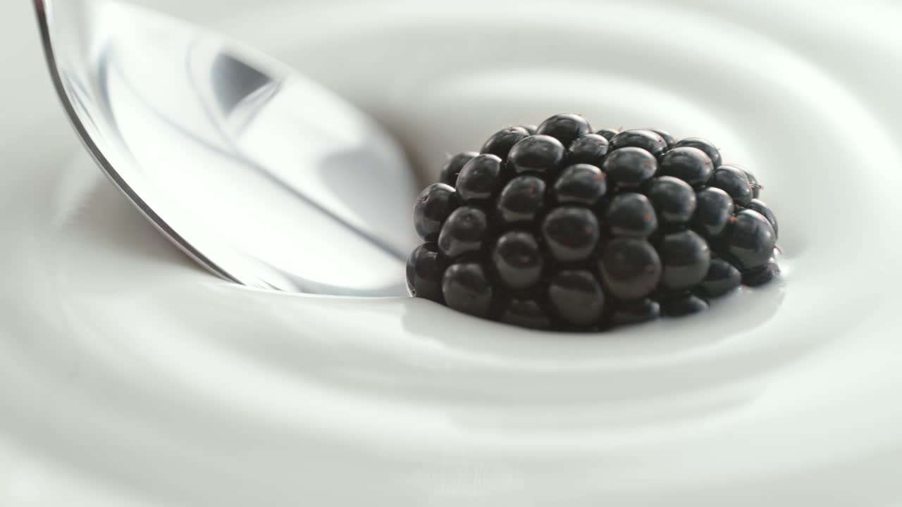 Blackberry Scooped with Silver Spoon from Creamy Thick Yogurt in Macro and Slow Motion