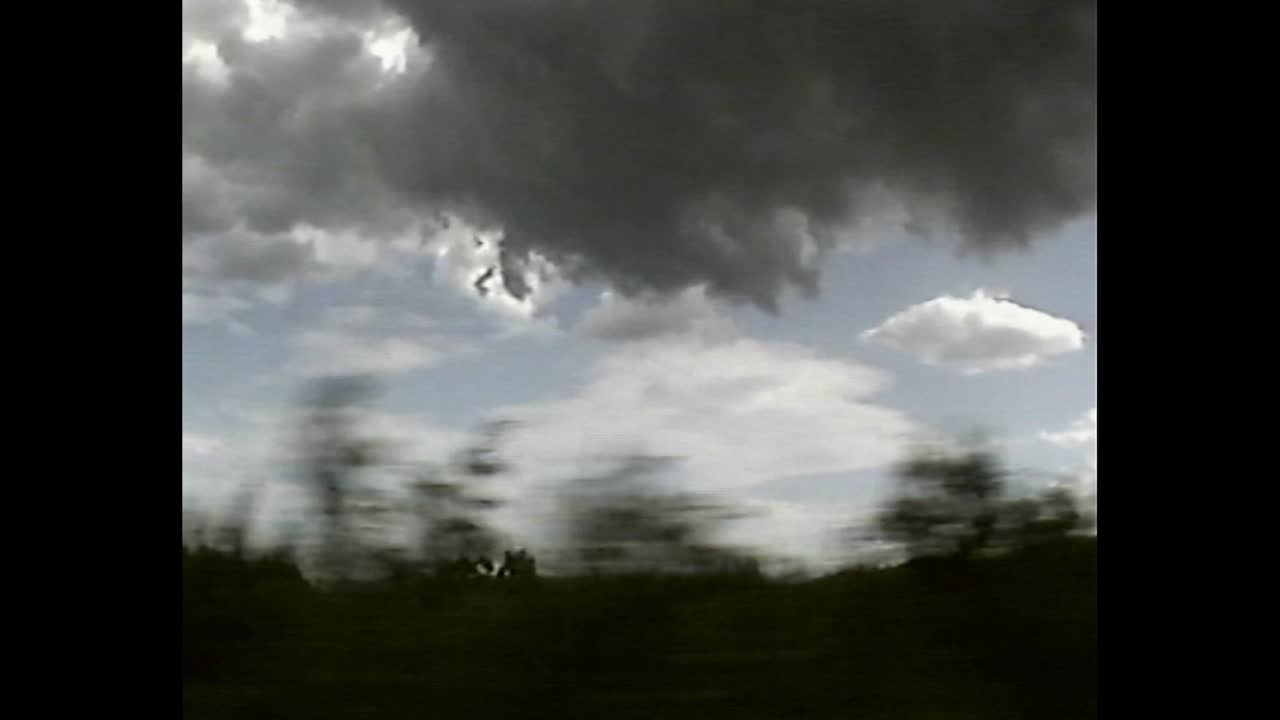 Stormy Skies and Trees