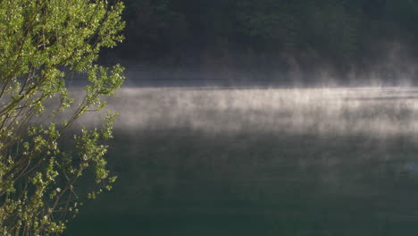 the morning mist can be seen over the lake waters with tree branches in the left forground