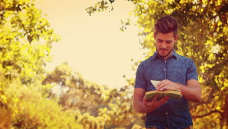 Hombre-Guapo-Leyendo-Un-Libro-En-El-Parque