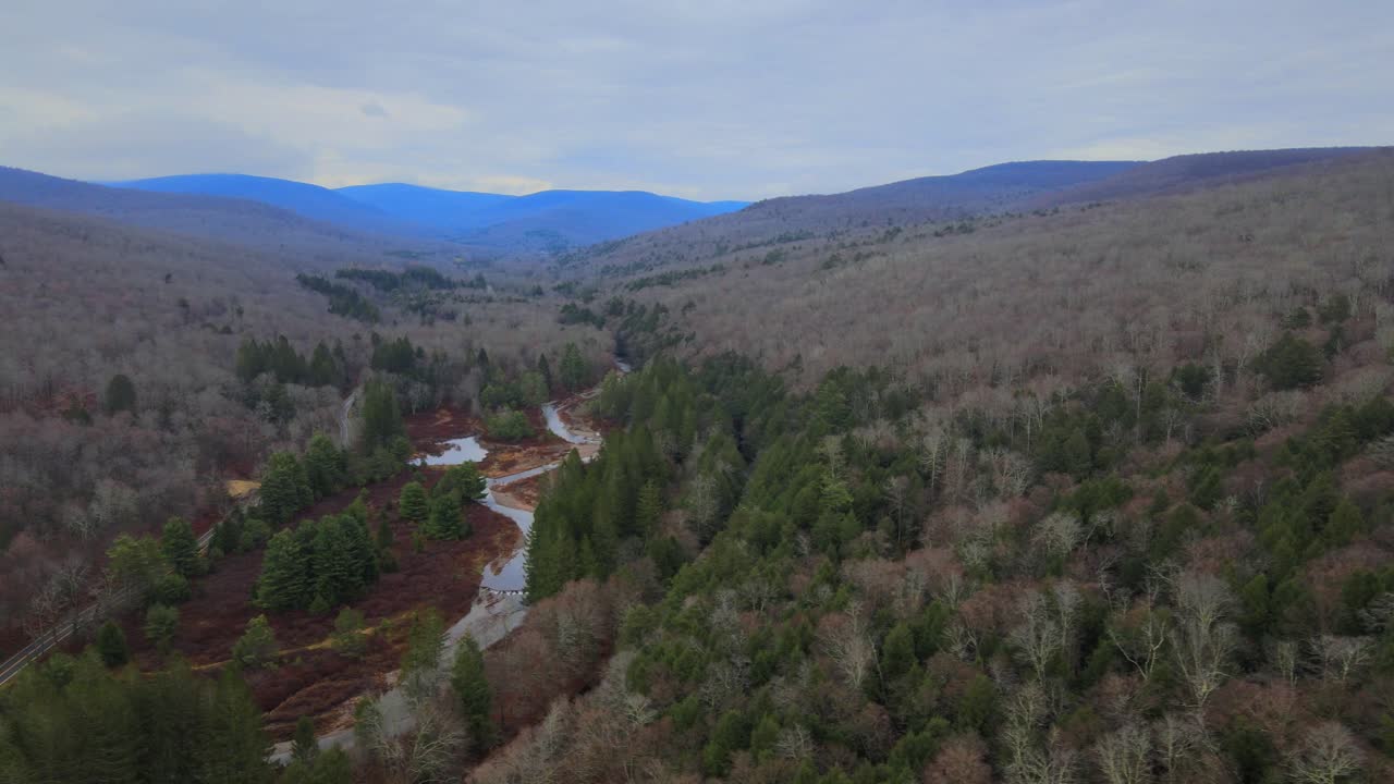 video de drones volando alto sobre un valle fluvial con un arroyo serpenteante, árboles desnudos, pinos y montañas azules en la distancia